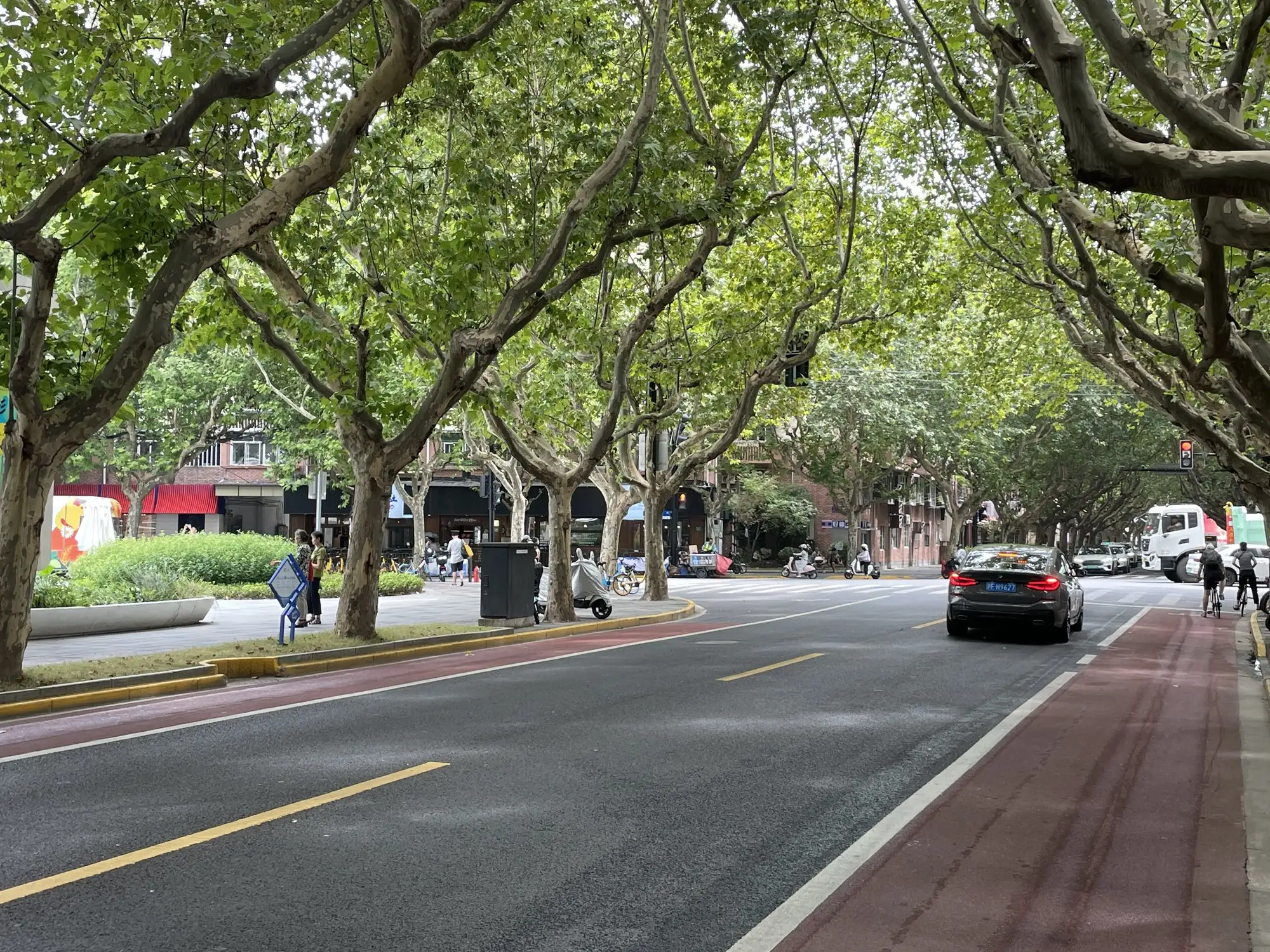 Tree-lined two-lane street with red cycle lanes, a car driving away from the camera and low buildings behind a canopy of plane trees.
